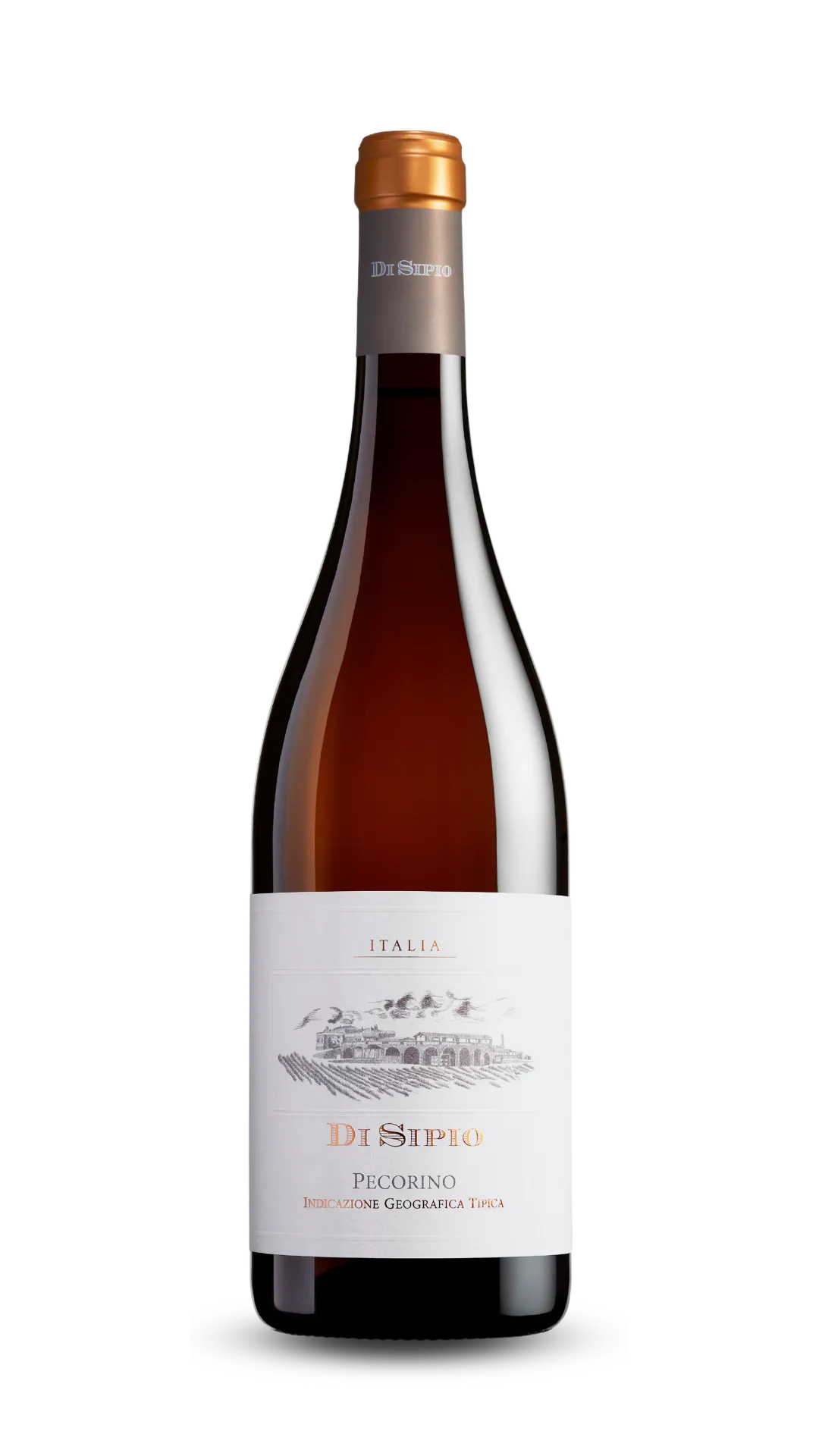 Bottiglia Pecorino della collezione Abruzzo - Cantina Di Sipio
