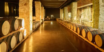 degustazione percorso legno